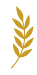 golden_laurel_right_clean